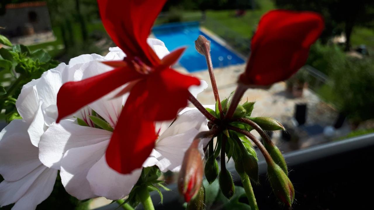 Pension Am Weinberg Bed & Breakfast Mainstockheim Kültér fotó
