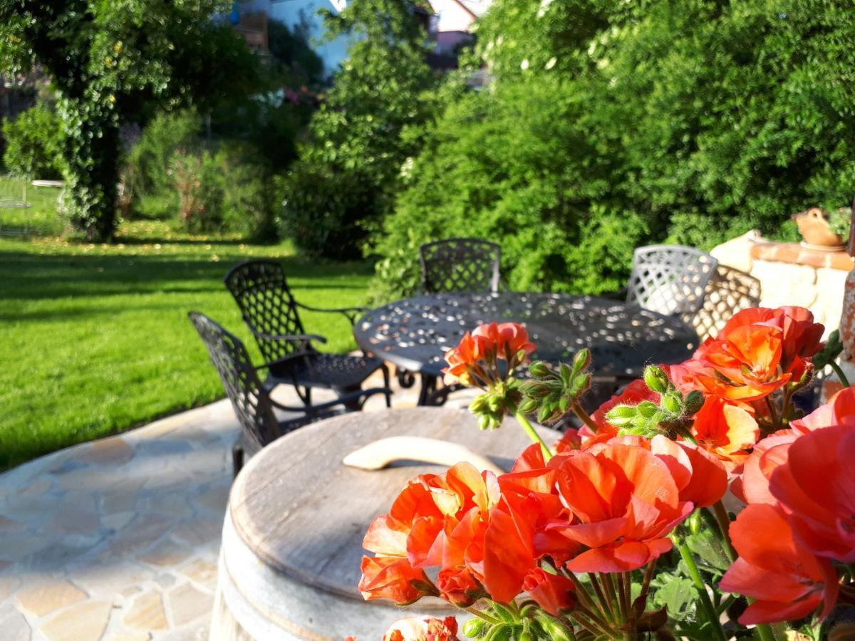 Pension Am Weinberg Bed & Breakfast Mainstockheim Kültér fotó
