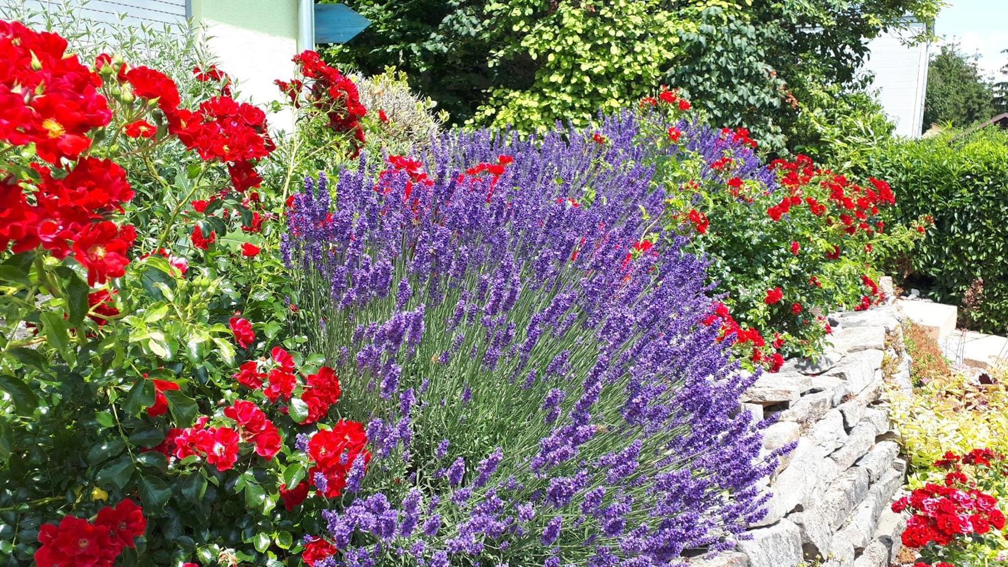 Pension Am Weinberg Bed & Breakfast Mainstockheim Kültér fotó